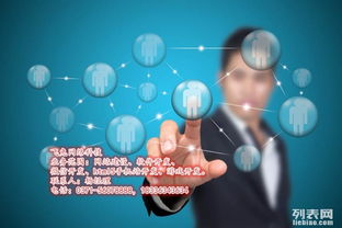 飛兔網(wǎng)絡(luò)科技 鄭州網(wǎng)站建設(shè)、APP開發(fā)與游戲開發(fā)的技術(shù)領(lǐng)航者